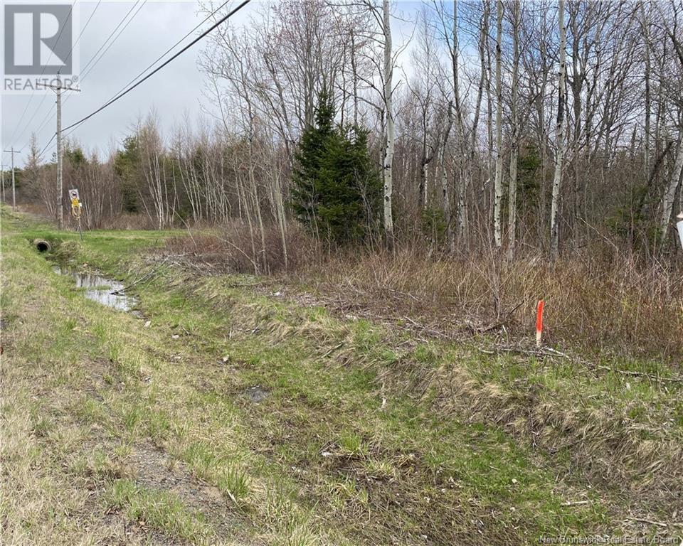 Lot Route 134, Saint-Pierre-De-Kent, New Brunswick  E4S 1E3 - Photo 9 - NB118161