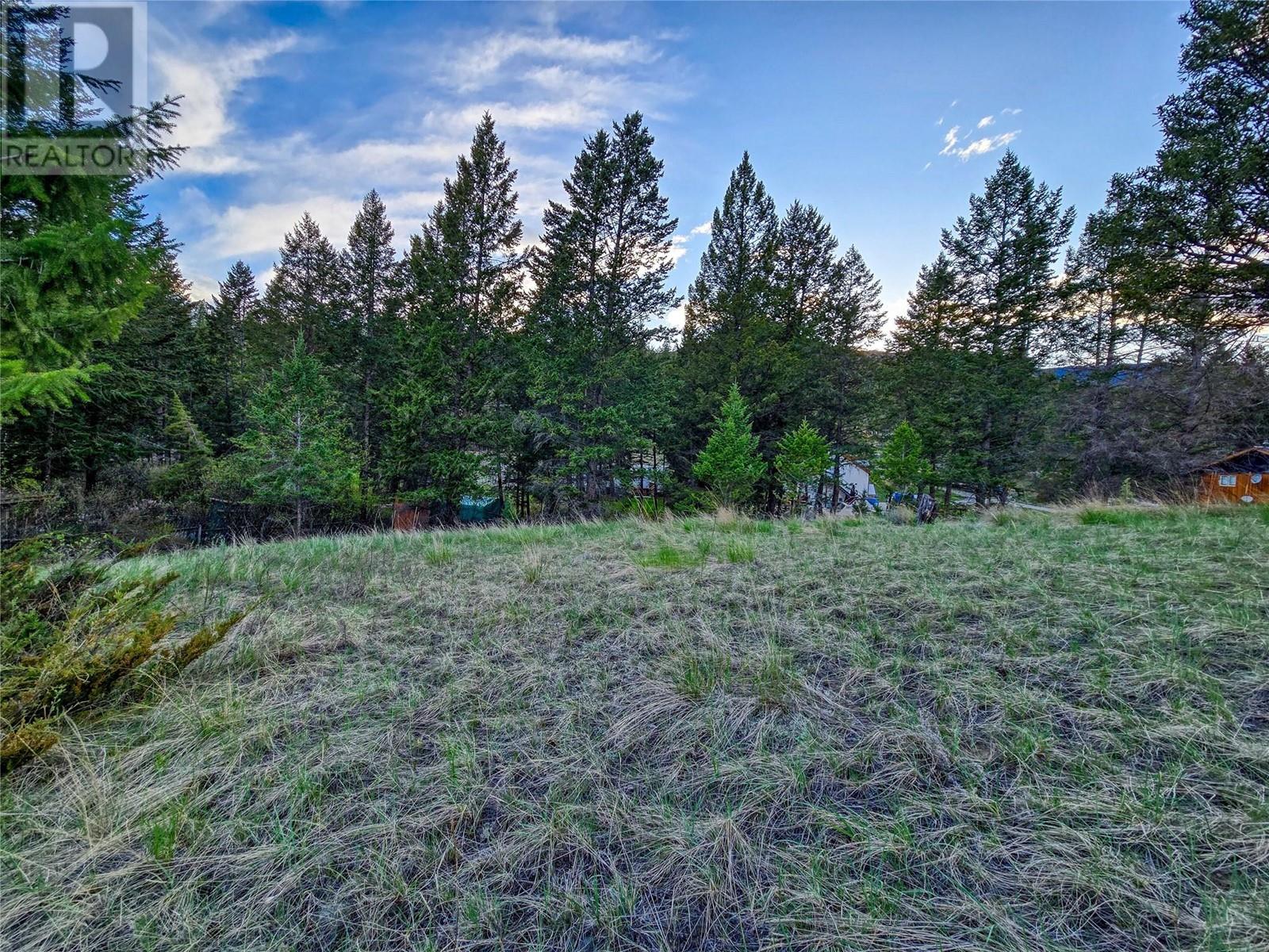 6705 Columbia Estates Road, Fairmont Hot Springs, British Columbia  V0B 1L2 - Photo 15 - 10347173