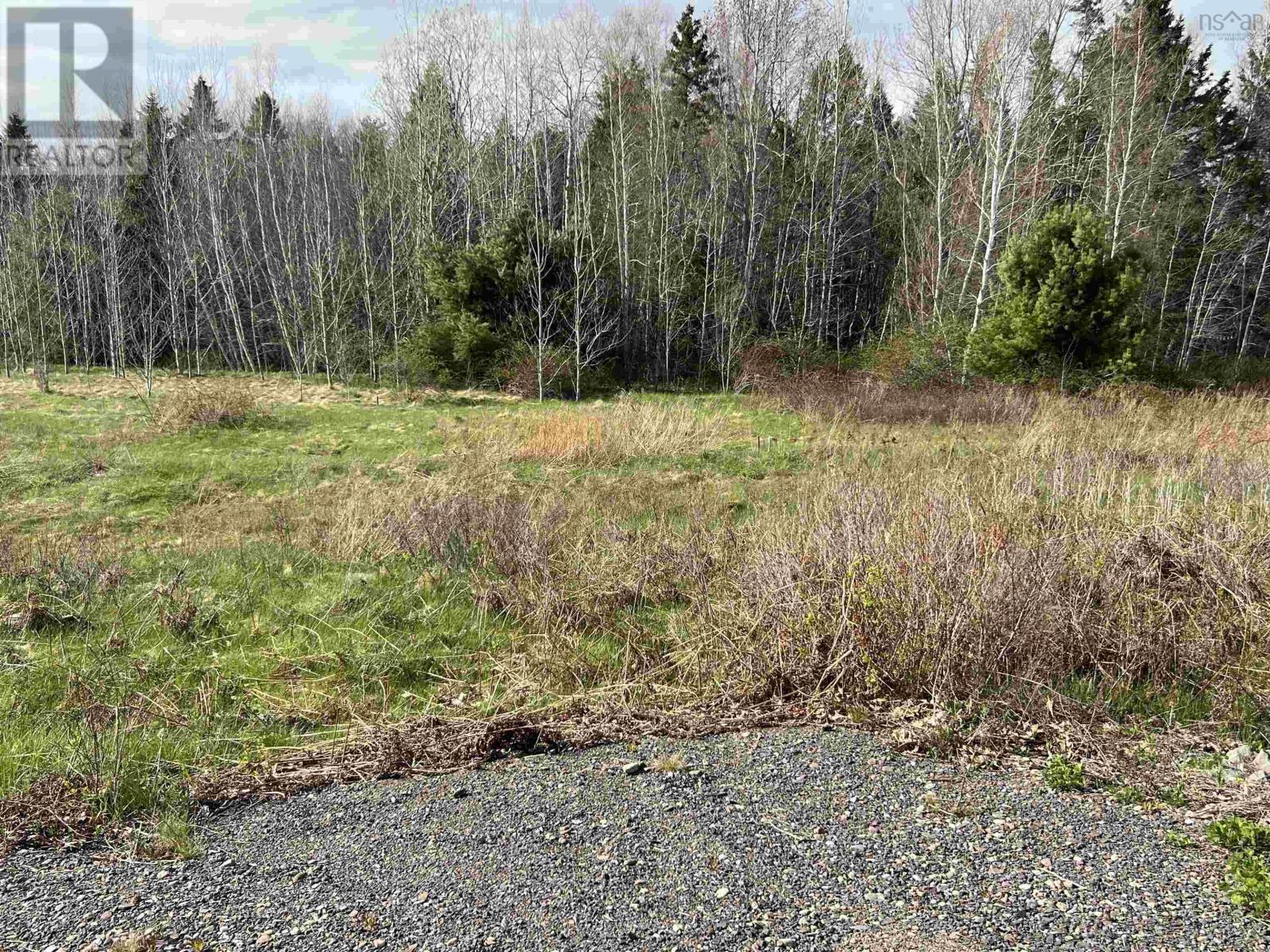 Lot 2022 Hall Road, Aylesford, Nova Scotia  B0P 1C0 - Photo 3 - 202510502