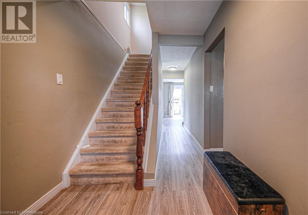 Property at 6 HOLM Street image 4