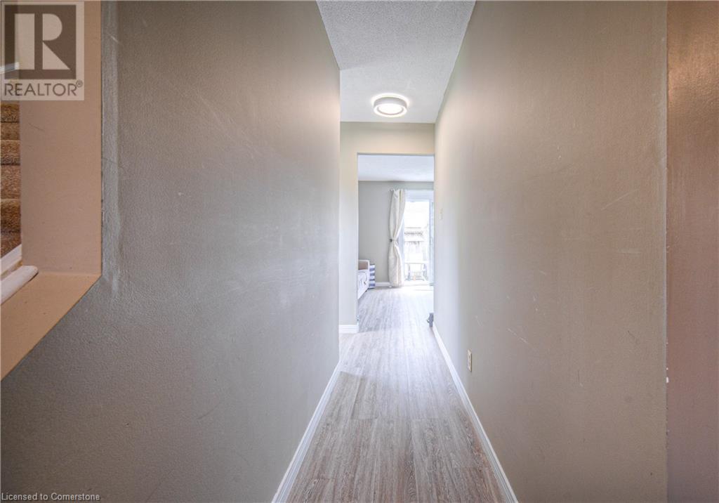 Property at 6 HOLM Street image 5