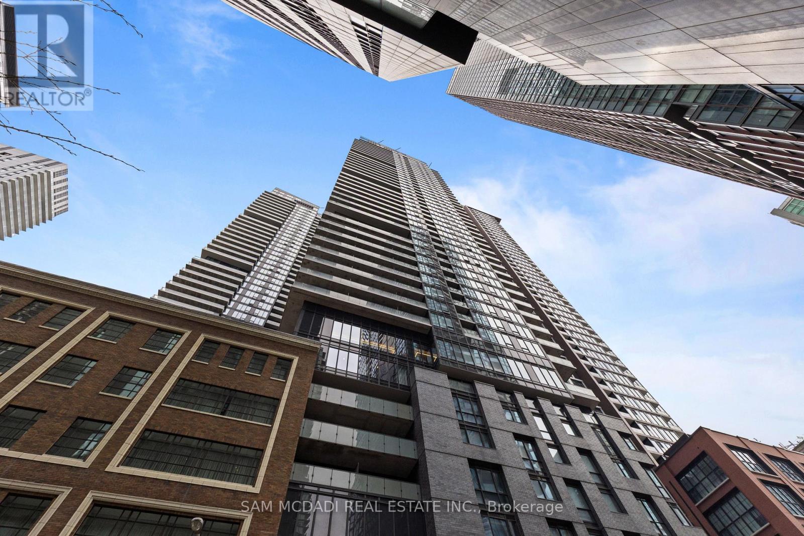 310 - 115 Blue Jays Way, Toronto, Ontario  M5V 0N4 - Photo 4 - C12137449