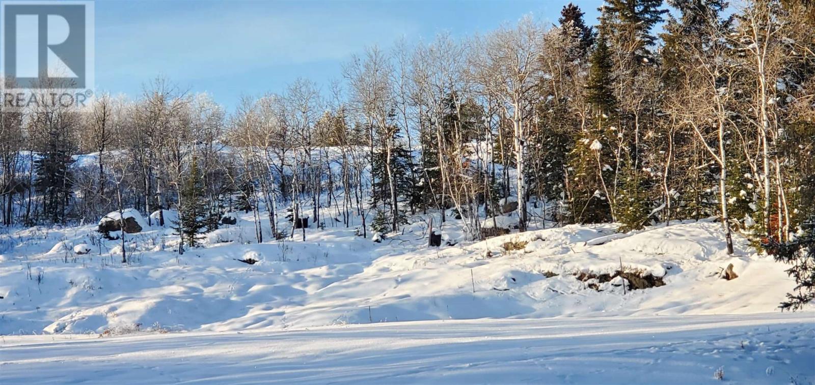 Lorem Ipsum Dolor Sit Ame, Kenora, Ontario  P9N  - Photo 3 - DEMO25158294