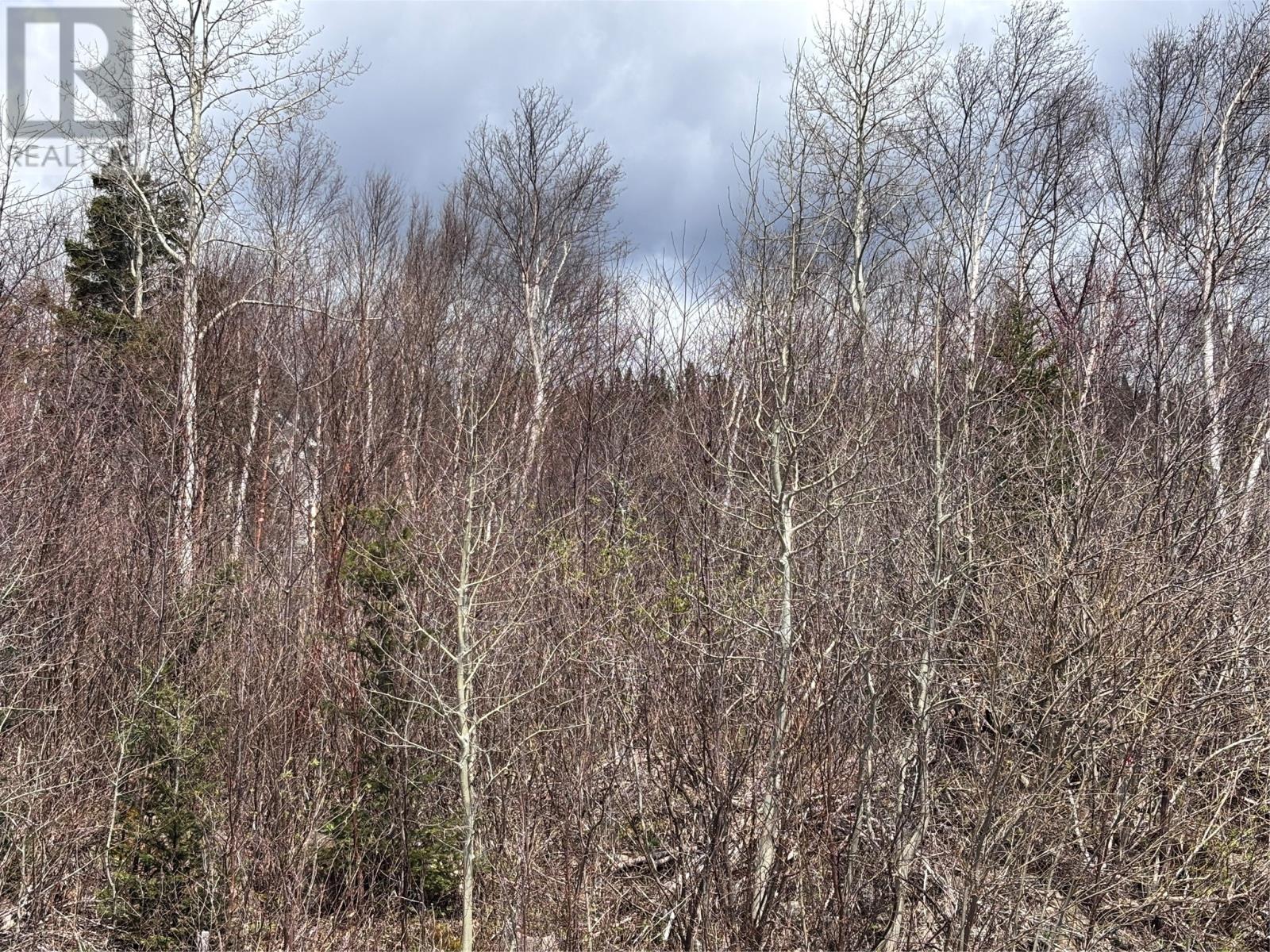 Lot 3 Glenview Estates Extension, Clarenville, Newfoundland & Labrador  A5A 4H1 - Photo 2 - 1284854
