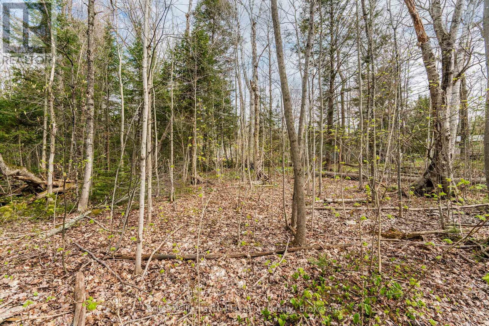 Lot 273 Gary Court, Tiny, Ontario  L9M 0H3 - Photo 11 - S12117491