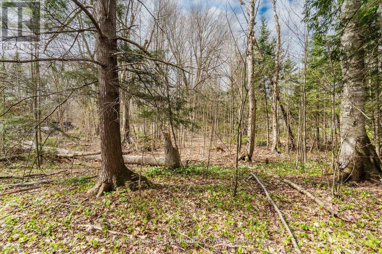 Lot 273 Gary Court, Tiny, Ontario  L9M 0H3 - Photo 13 - S12117491