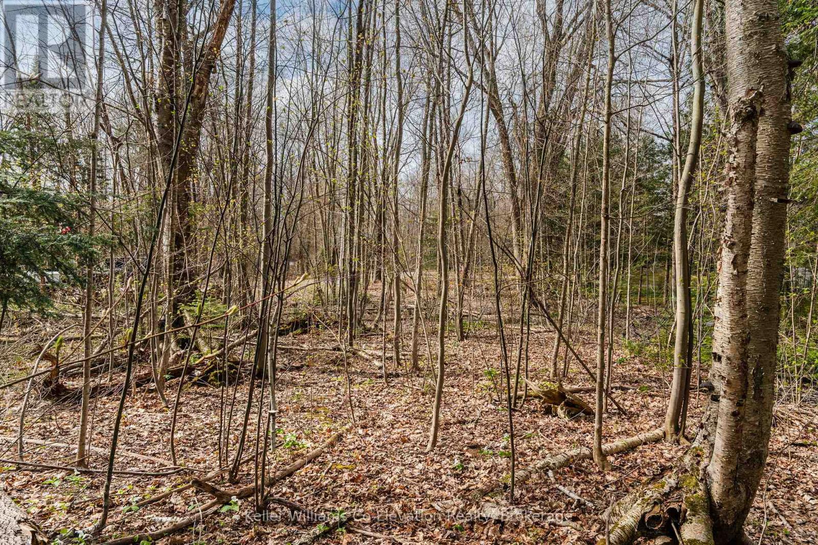 Lot 273 Gary Court, Tiny, Ontario  L9M 0H3 - Photo 15 - S12117491