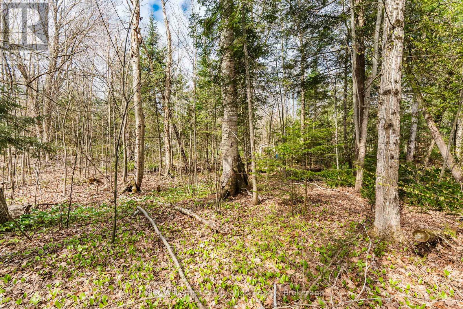 Lot 273 Gary Court, Tiny, Ontario  L9M 0H3 - Photo 14 - S12117491