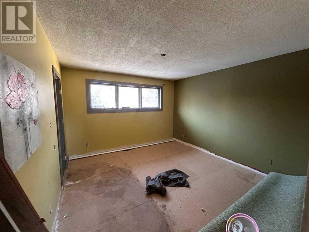 3 Meadowlark Drive, Sedgewick, Alberta  T0B 4C0 - Photo 8 - A2208430