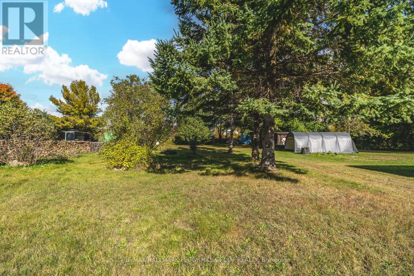 Property at 221 PHILLIPS STREET image 5