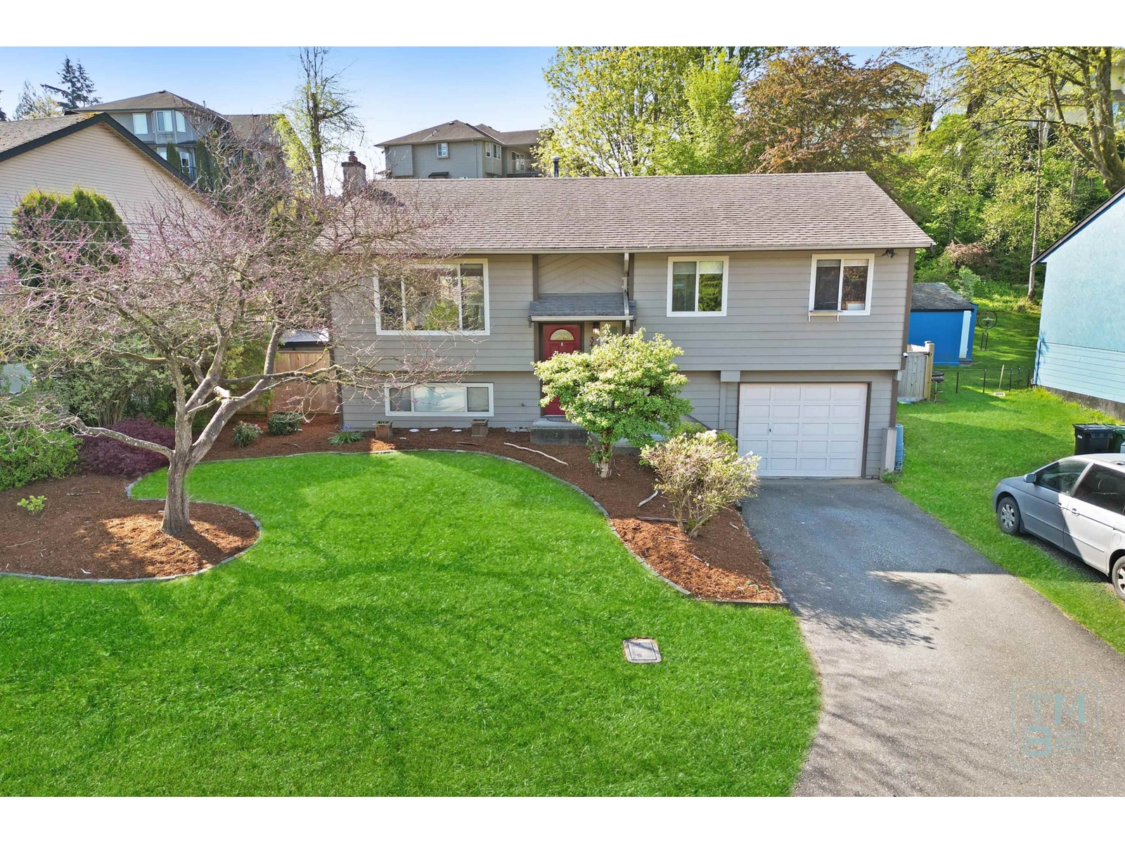 Property at 34464 IMMEL STREET image 3