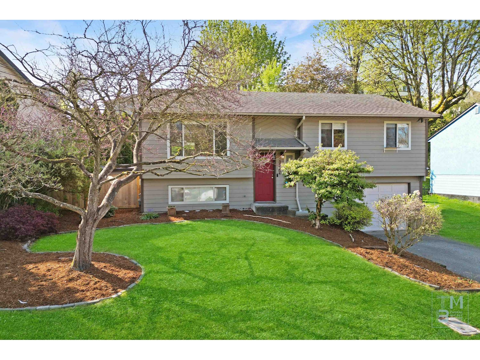 Property at 34464 IMMEL STREET image 1
