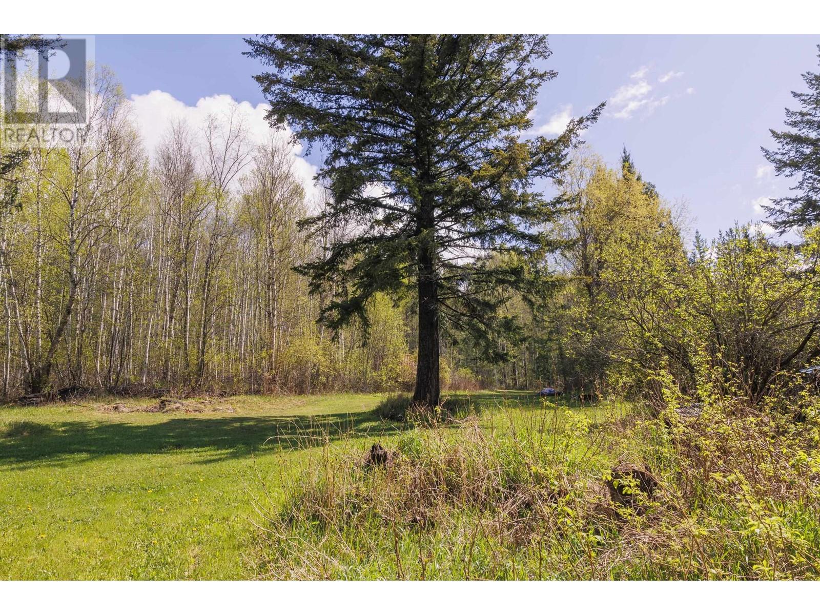 285 Rainbow Road, Mcbride, British Columbia  V0J 2E0 - Photo 11 - R3000890