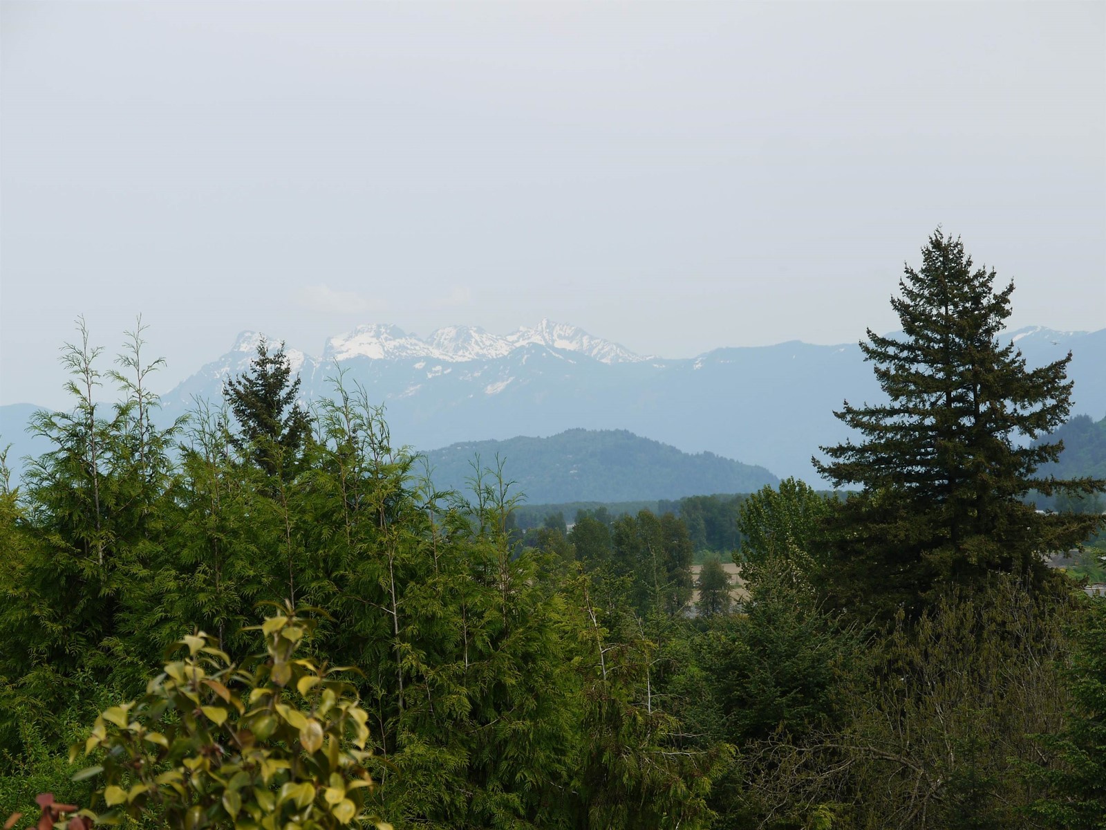 34534 Dann Avenue, Mission, British Columbia  V2V 6P6 - Photo 23 - R2998437