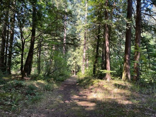 18 19743 Foster Road, Hope, Hope, British Columbia  V0X 1L2 - Photo 16 - R3000816