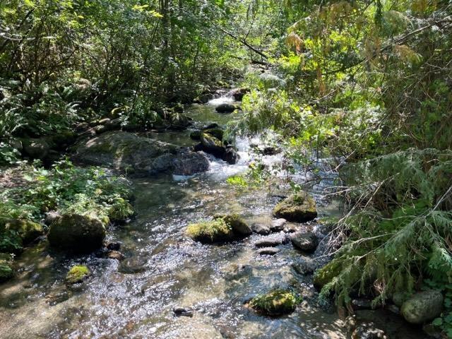 18 19743 Foster Road, Hope, Hope, British Columbia  V0X 1L2 - Photo 3 - R3000816
