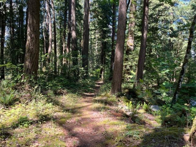 18 19743 Foster Road, Hope, Hope, British Columbia  V0X 1L2 - Photo 8 - R3000816