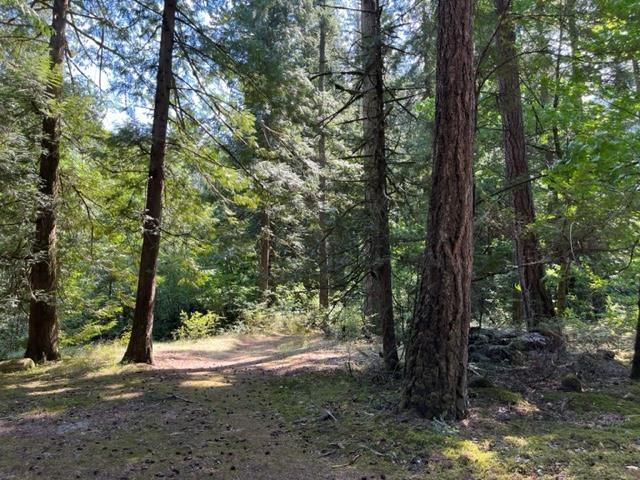 20 19743 Foster Road, Hope, Hope, British Columbia  V0X 1L2 - Photo 13 - R3000802