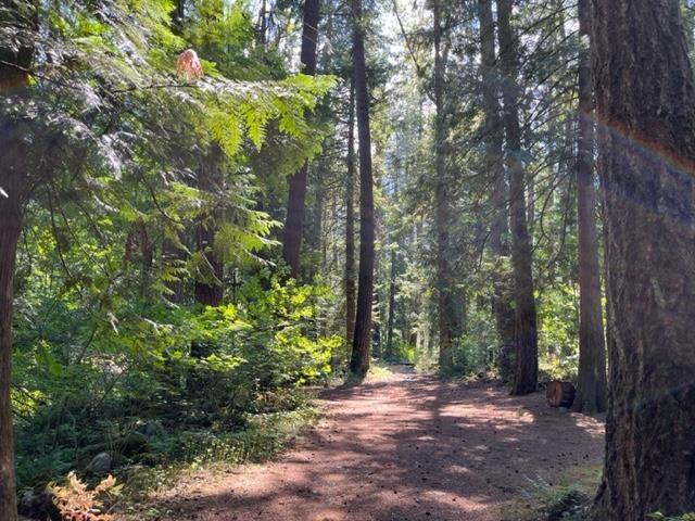 20 19743 Foster Road, Hope, Hope, British Columbia  V0X 1L2 - Photo 19 - R3000802