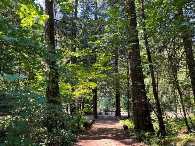 20 19743 Foster Road, Hope, Hope, British Columbia  V0X 1L2 - Photo 30 - R3000802