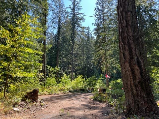 20 19743 Foster Road, Hope, Hope, British Columbia  V0X 1L2 - Photo 32 - R3000802