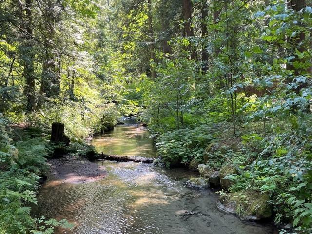 20 19743 Foster Road, Hope, Hope, British Columbia  V0X 1L2 - Photo 18 - R3000802