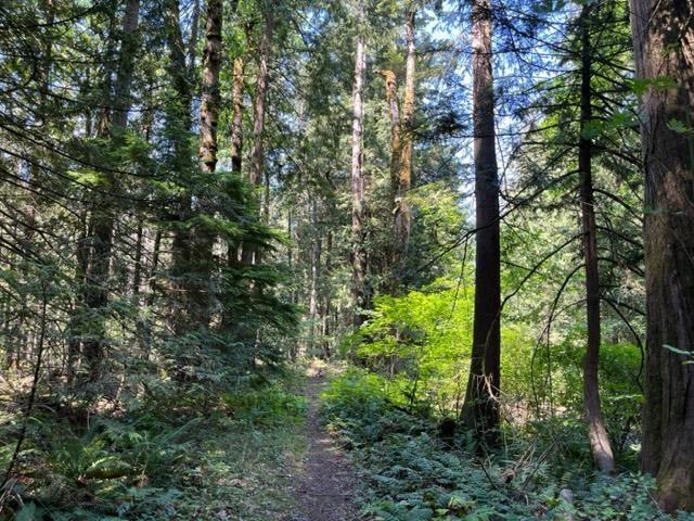 20 19743 Foster Road, Hope, Hope, British Columbia  V0X 1L2 - Photo 8 - R3000802