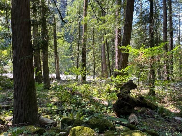 20 19743 Foster Road, Hope, Hope, British Columbia  V0X 1L2 - Photo 12 - R3000802