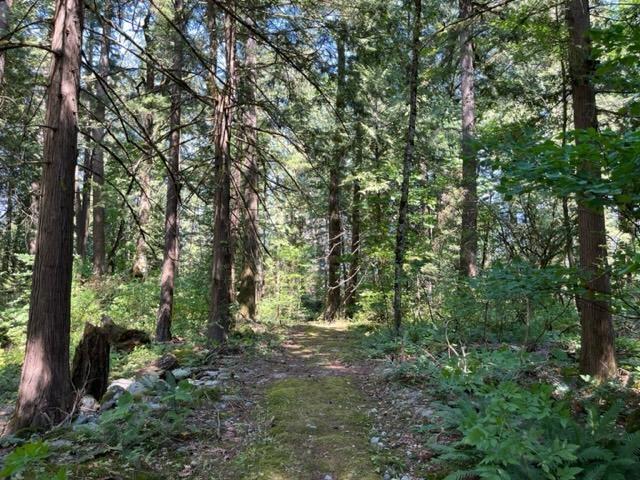 20 19743 Foster Road, Hope, Hope, British Columbia  V0X 1L2 - Photo 6 - R3000802