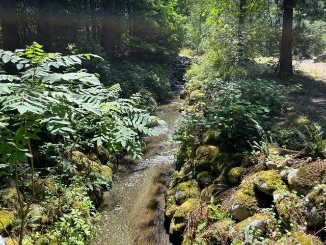 20 19743 Foster Road, Hope, Hope, British Columbia  V0X 1L2 - Photo 26 - R3000802