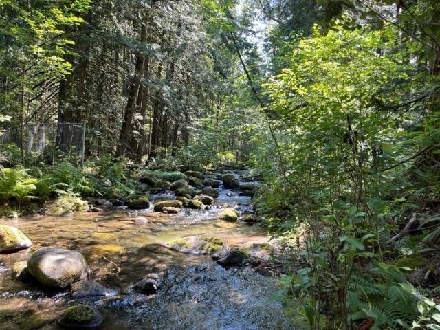 20 19743 Foster Road, Hope, Hope, British Columbia  V0X 1L2 - Photo 9 - R3000802