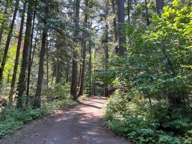 20 19743 Foster Road, Hope, Hope, British Columbia  V0X 1L2 - Photo 31 - R3000802