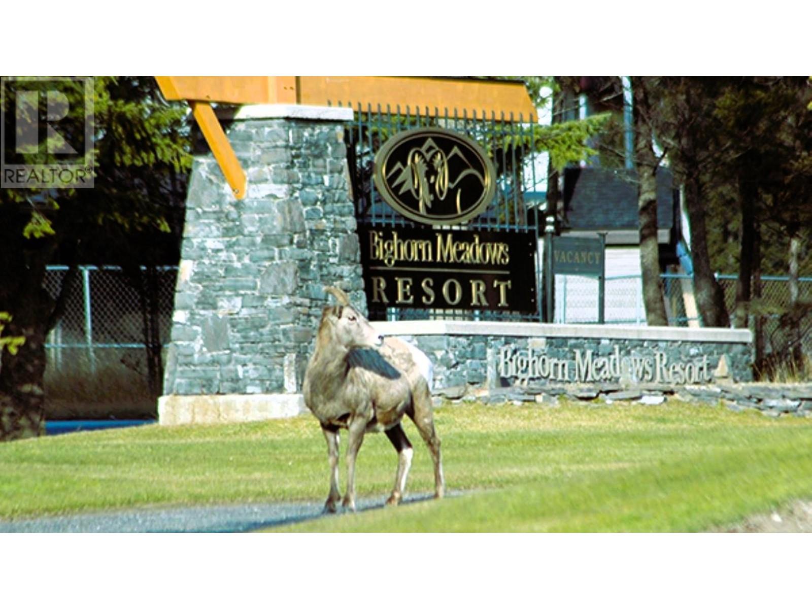200 Bighorn Boulevard Unit# 234 A, Radium Hot Springs, British Columbia  V0A 1M0 - Photo 73 - 10346795