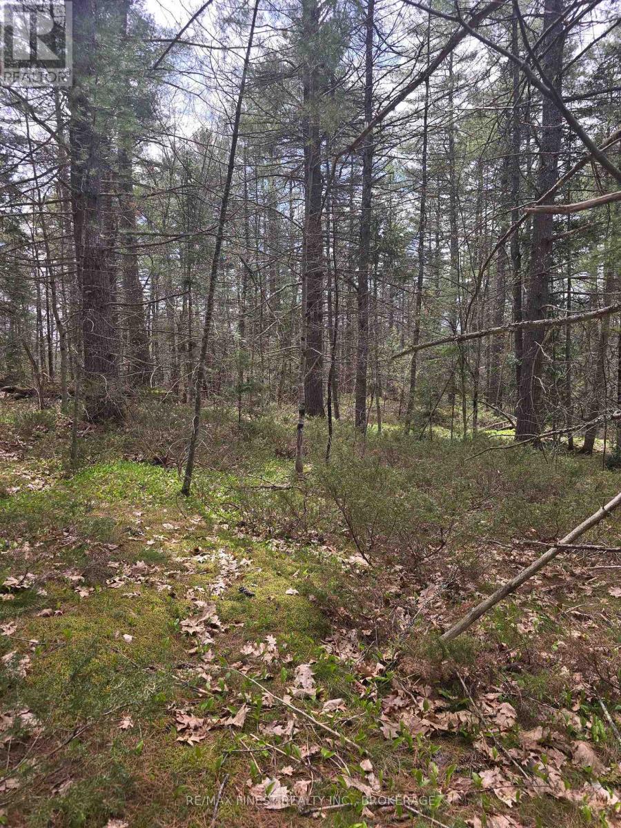 0 Ardoch Road, North Frontenac, Ontario  K0H 1J0 - Photo 10 - X12138189