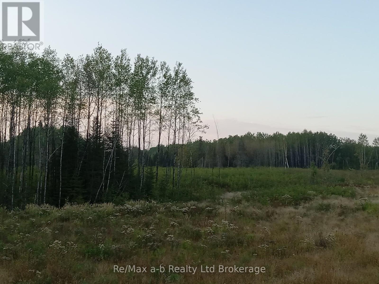N/a N/a Road, Kirkland Lake, Ontario  P0J 1H0 - Photo 2 - T12138270