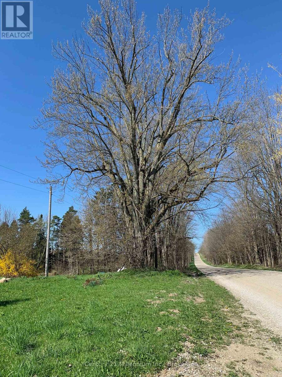 264094 Sideroad 24, Meaford, Ontario  N0H 1B0 - Photo 13 - X12138154