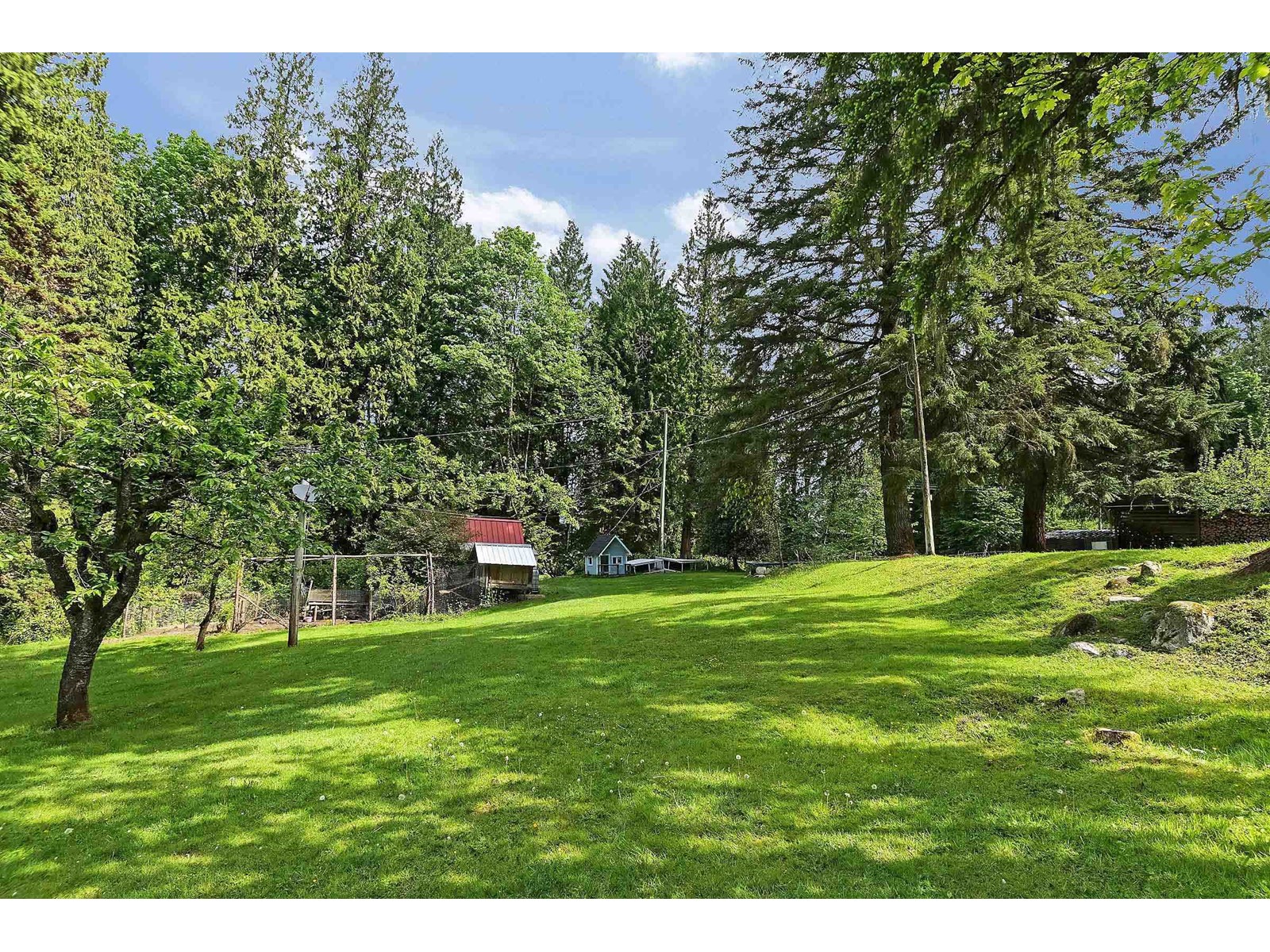 30856 Forsell Avenue, Mission, British Columbia  V4S 1G9 - Photo 38 - R3000368
