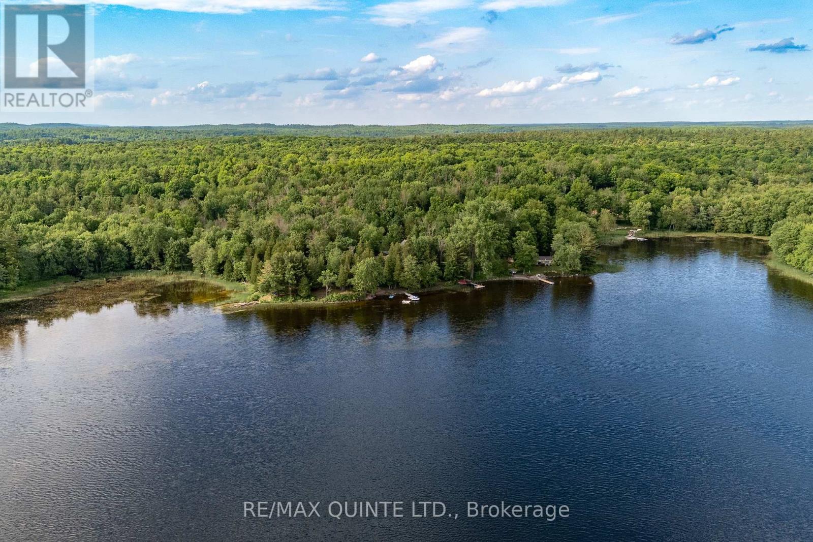 496 Pine Point Lane, Centre Hastings, Ontario  K0K 2K0 - Photo 10 - X12138323
