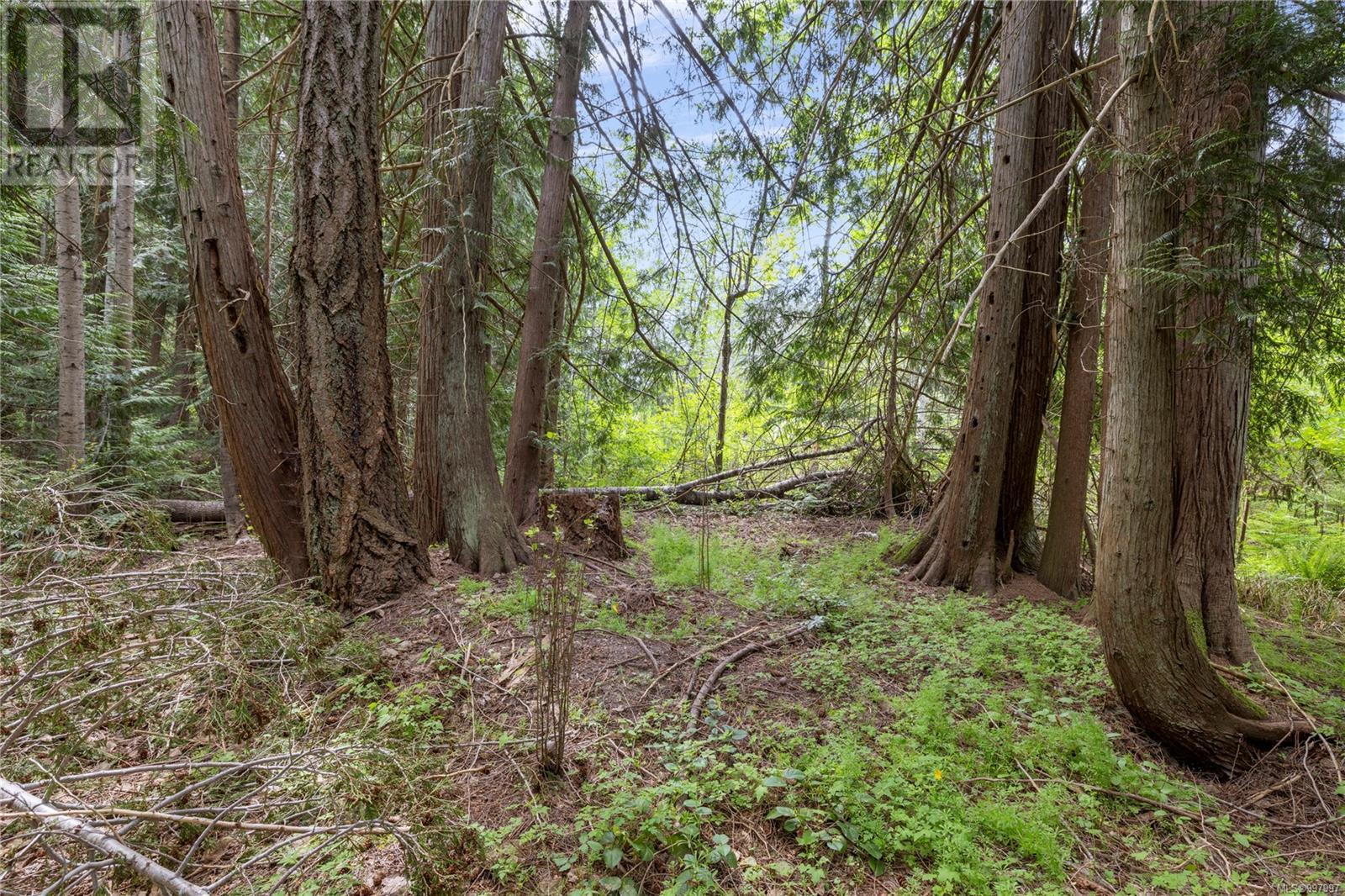 1024 Little Mountain Rd, Errington, British Columbia  V9P 2C3 - Photo 49 - 997997