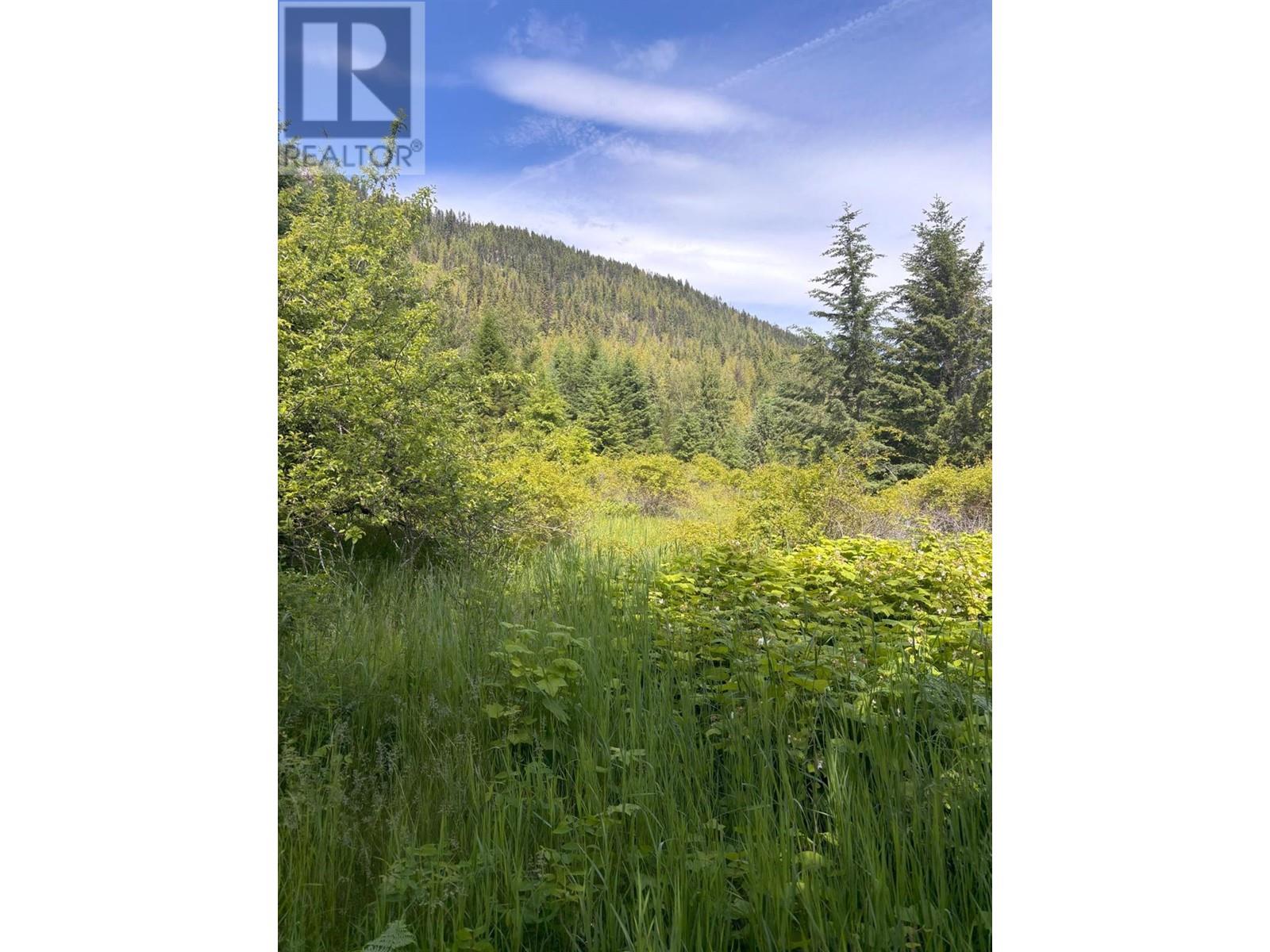 8182 Lower Inonoaklin Road, Edgewood, British Columbia  V0G 1J0 - Photo 24 - 10347003