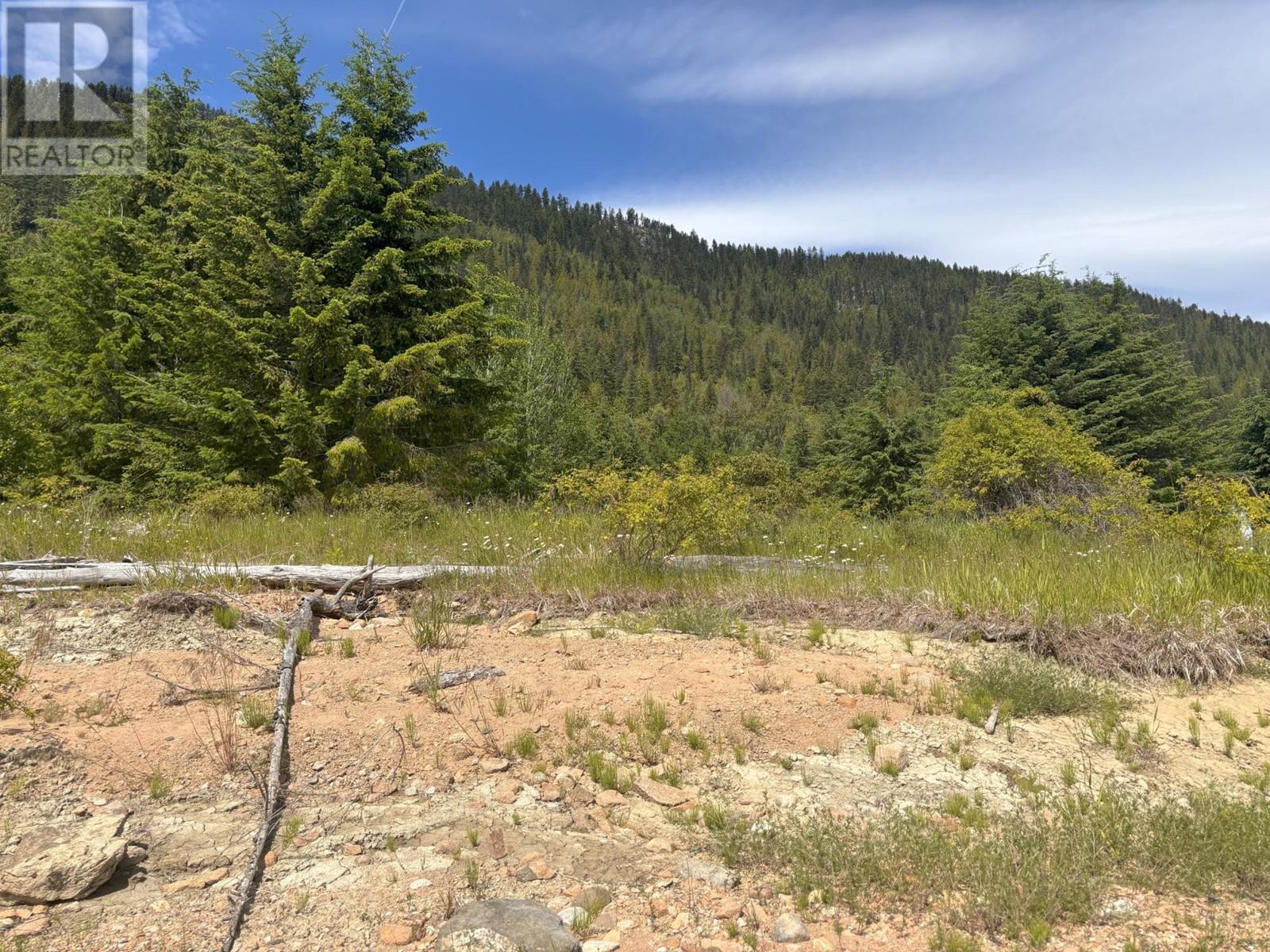 8182 Lower Inonoaklin Road, Edgewood, British Columbia  V0G 1J0 - Photo 12 - 10347003