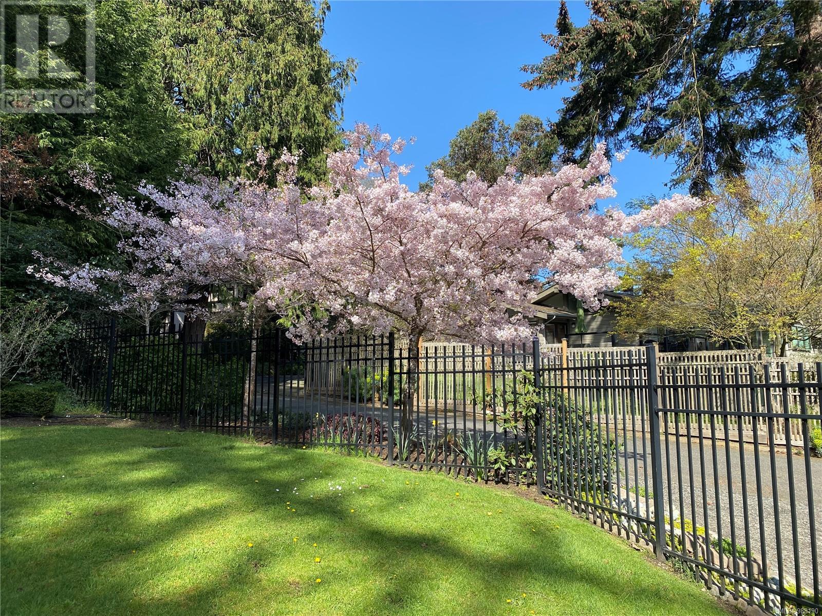 Property at 2220 Arbutus Rd image 3