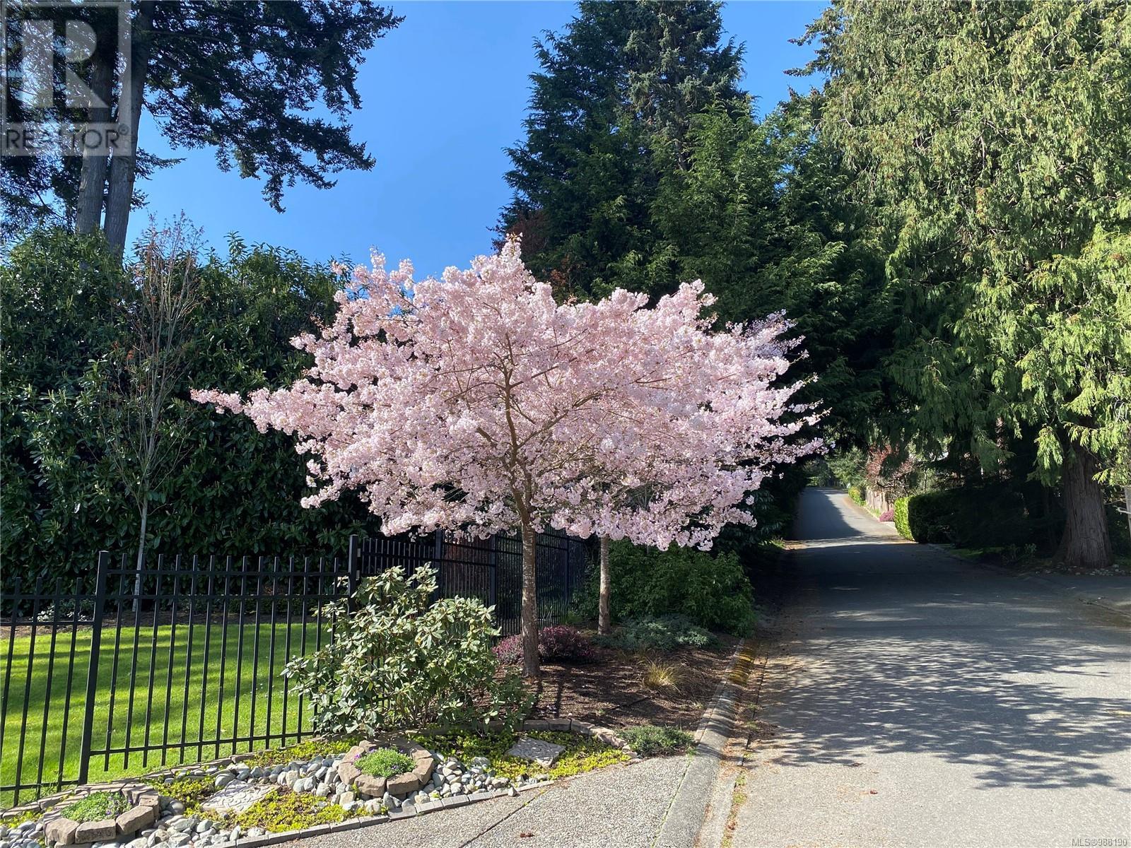 Property at 2220 Arbutus Rd image 2