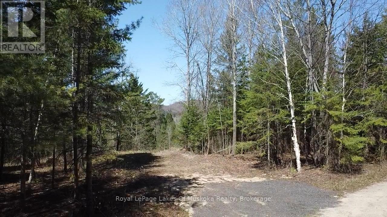 0 Old Muskoka Road, Perry, Ontario  P0A 1J0 - Photo 10 - X12138437