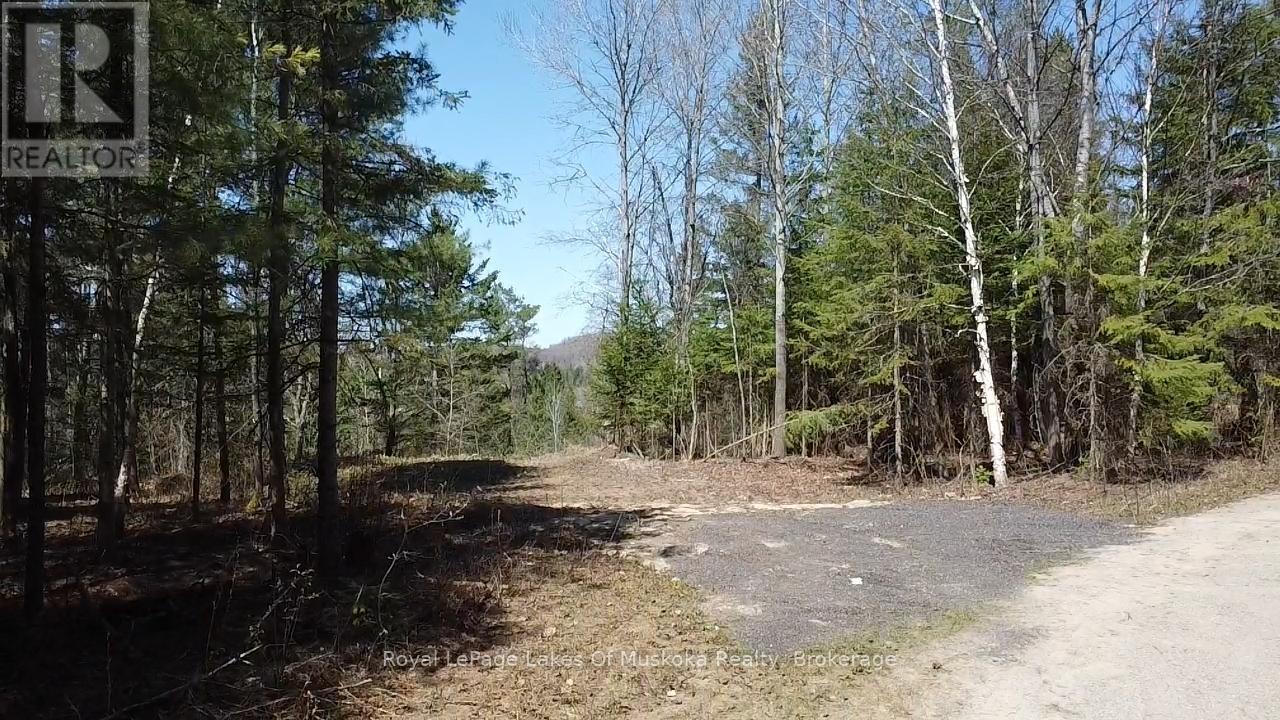 0 Old Muskoka Road, Perry, Ontario  P0A 1J0 - Photo 11 - X12138437