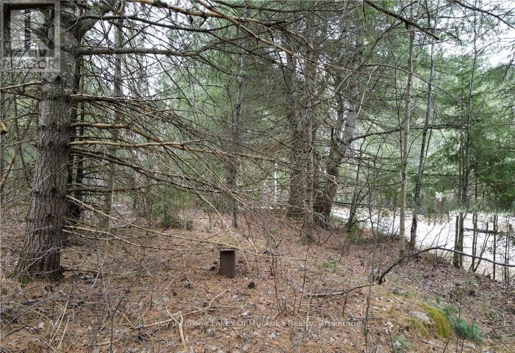 0 Old Muskoka Road, Perry, Ontario  P0A 1J0 - Photo 14 - X12138437