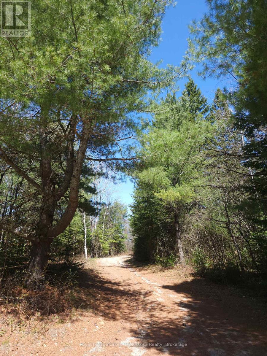 0 Old Muskoka Road, Perry, Ontario  P0A 1J0 - Photo 2 - X12138437