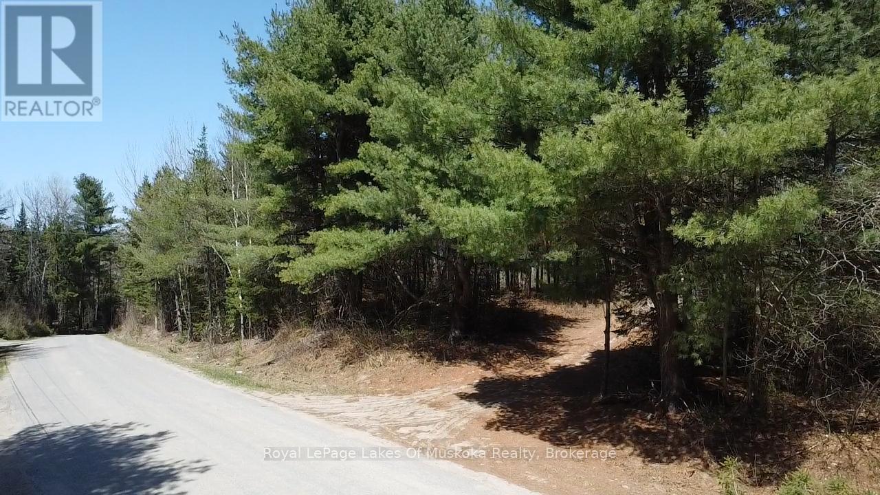 0 Old Muskoka Road, Perry, Ontario  P0A 1J0 - Photo 8 - X12138437
