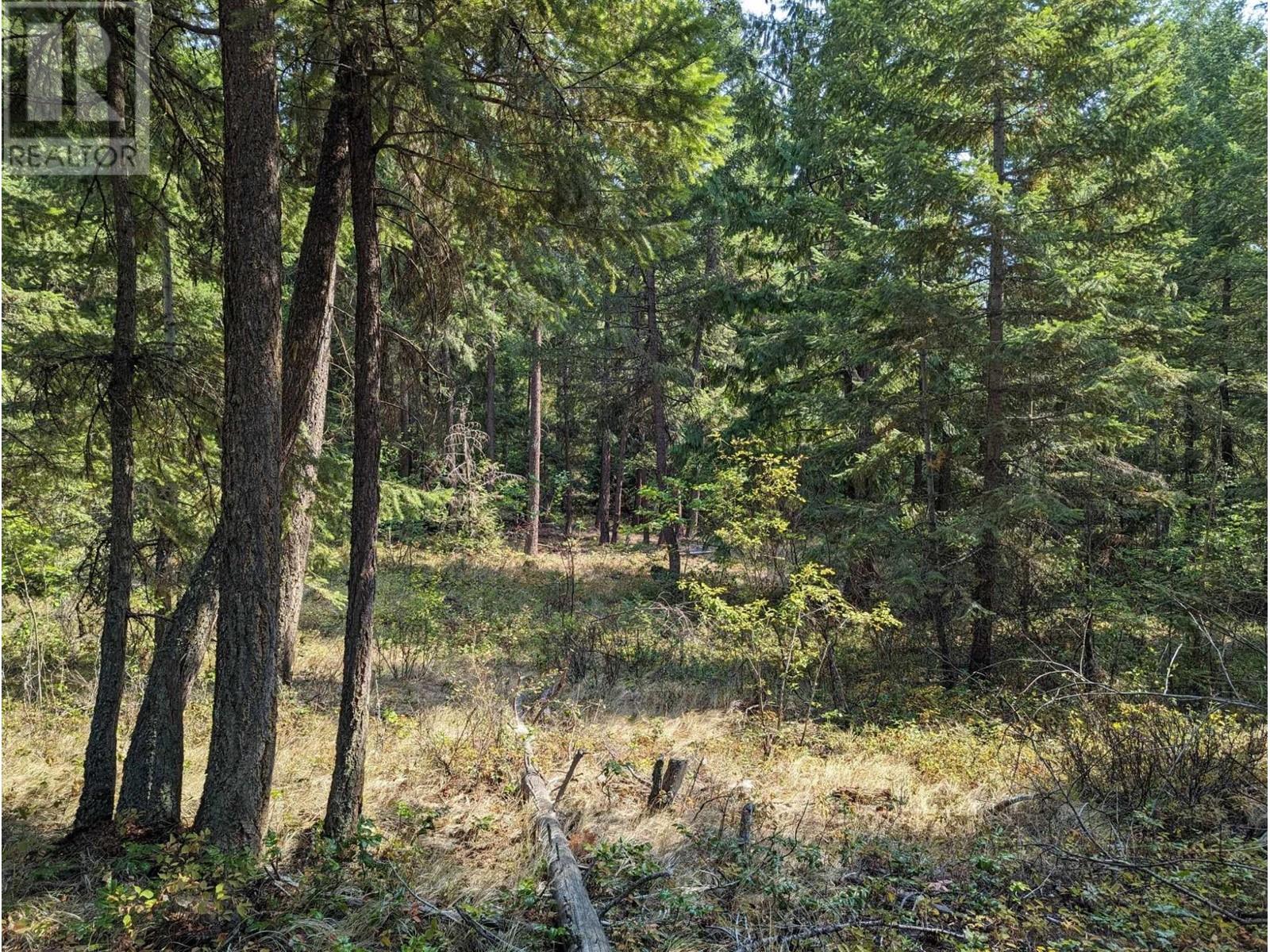 8569 BLACK MOUNTAIN Road, Chase, BC V0E1M0