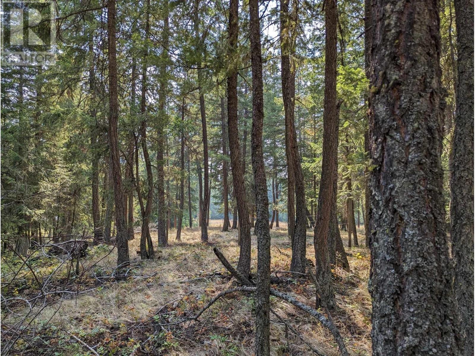8569 BLACK MOUNTAIN Road, Chase, BC V0E1M0